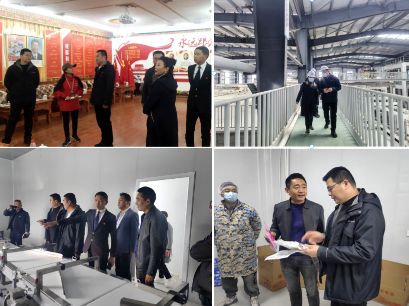 微信图片_20230518094759.png